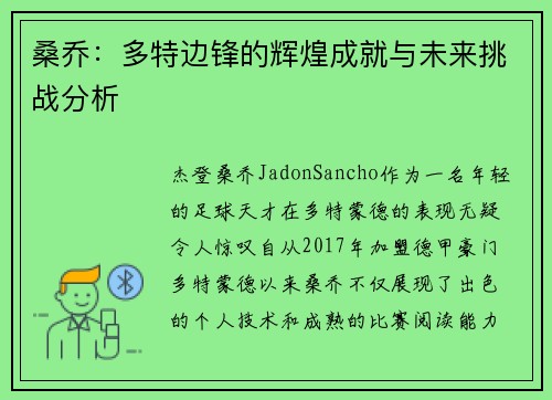 桑乔：多特边锋的辉煌成就与未来挑战分析