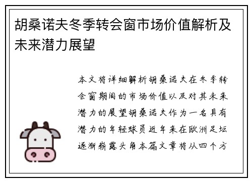 胡桑诺夫冬季转会窗市场价值解析及未来潜力展望